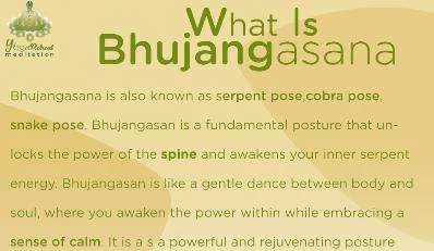 what is bhujangasana